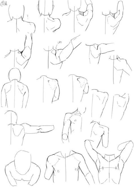 Drawing Helpreference Shoulders And Shoulder Blades Drawing