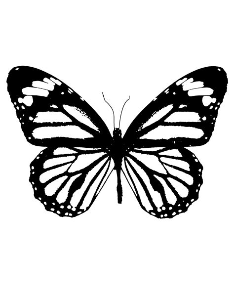 Butterfly Stencil Tattoo Arm Tattoo Sites