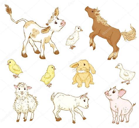 Dictures Baby Animals Drawing Farm Baby Animals — Stock Vector