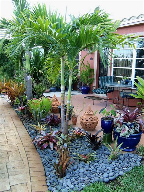 You can find rocks for free! Gardening South Florida Style: Bromeliads in the Garden
