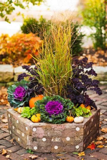 90 Best Ornamental Cabbage And Kale Images On Pinterest