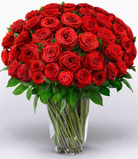 100 Premium Red Roses Lilubee