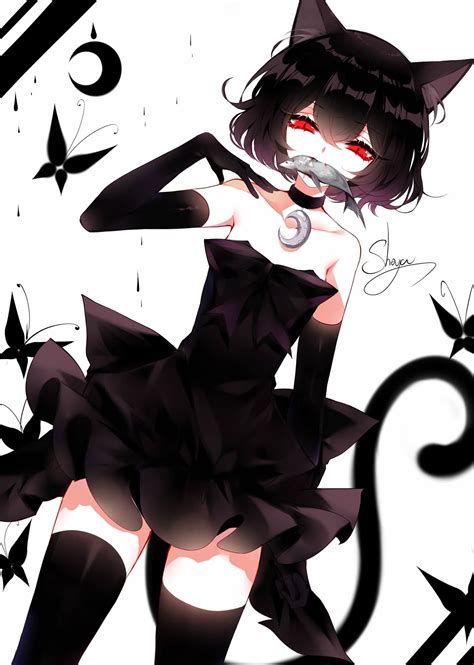 Art Sheya Evil Anime Cat Girl Anime Neko