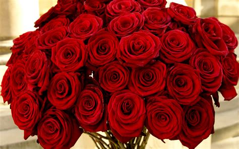 Nice Bouquet Of Red Roses On March 8 Wallpapers And Images Wallpapers