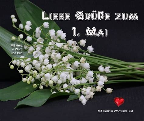 With patrick swayze, mary elizabeth mastrantonio, joseph mazzello, seth mumy. Liebe Grüße zum 1. Mai | Grüße zum 1 mai, Grüße, Liebe grüße