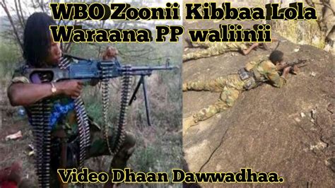 Wbozooniikibbaalolawaraanappwaliinii Oromia Show Youtube