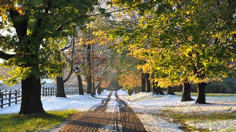 Path Between Yellow Green Autumn Fall Trees Fence Snow Field During