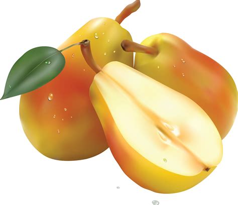 Pear Hd Png Transparent Pear Hdpng Images Pluspng
