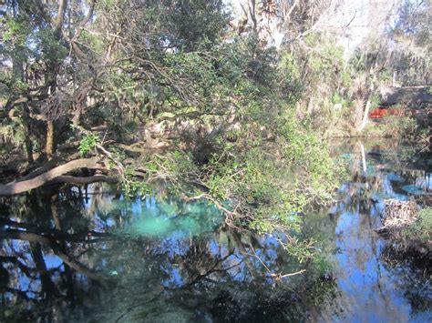 Check spelling or type a new query. Dave's Yak Tales: Sweetwater Cabin and Juniper Run