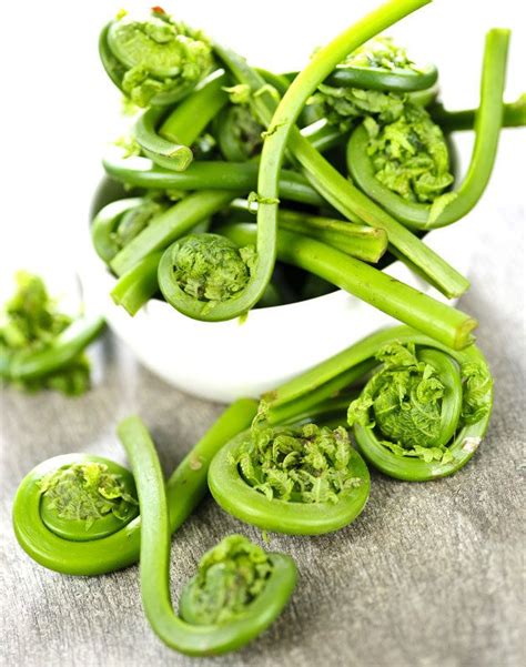 In Season Everything You Need To Know About Fiddleheads Food Spring