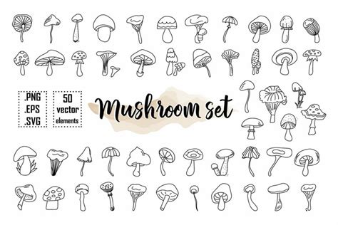 MUSHROOMS Clipart Fungus Clipart Mushroom Organic Set