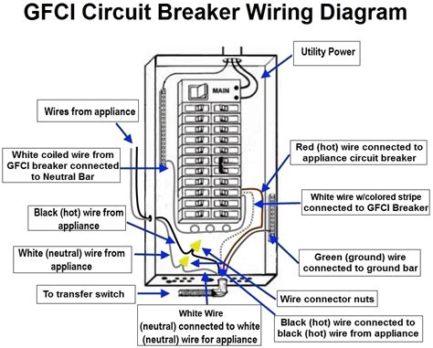 2 Pole Gfci Breaker Wiring Diagram Free Download Wiring Diagram Schematic