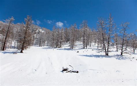 Wonderful Winter Landscape Stock Image Image Of Relax 16285993