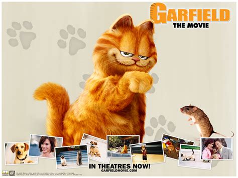 Garfield The Movie Garfield Wallpaper 4142231 Fanpop