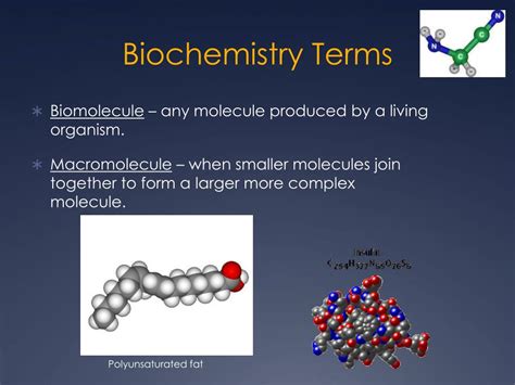 Ppt Molecules Of Life Powerpoint Presentation Free Download Id2318997
