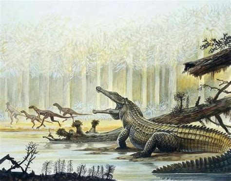 Rutiodon And Fabrosaurus In The Background During The Triassic Period