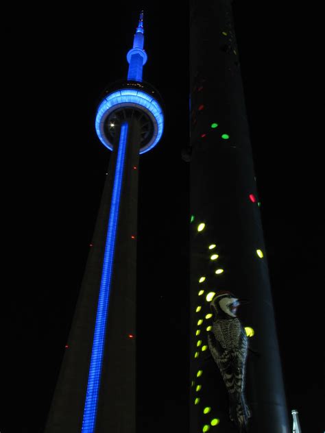 Leafs 4 capitals 5 | fan views our fans reflect on last nights defeat to washington. Check out the Tower lit blue last night for Toronto Maple ...