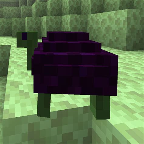 Download More Turtles Minecraft Mods And Modpacks Curseforge