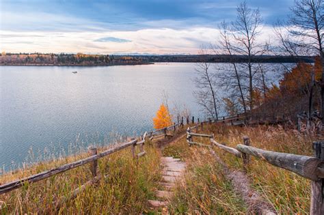 Lakeside Path Stock Photo Download Image Now Istock