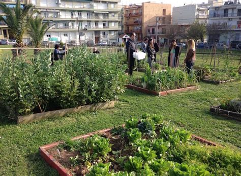 Urban Community Gardens Project In Thessaloniki Helps 30