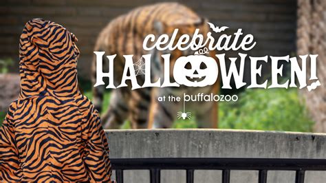Celebrate Halloween At The Buffalo Zoo 2022 Buffalo Zoo