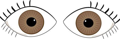 Brown Eyes Clipart Clipart Best