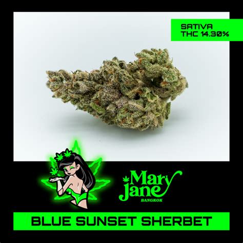 Blue Sunset Sherbet Mary Jane Thailand