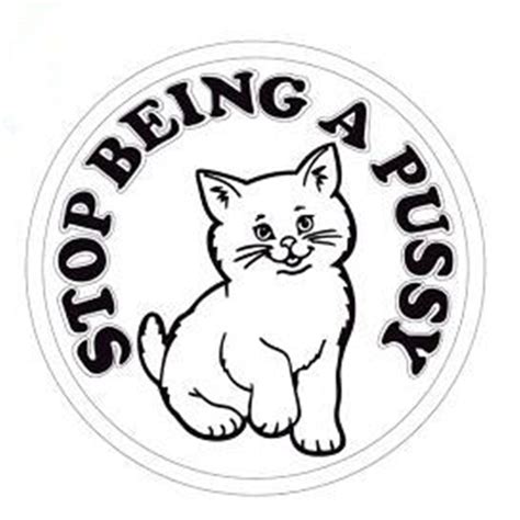 T Shirt Women Patch 169mm Cute Pussy Iron On Patches For Clothing