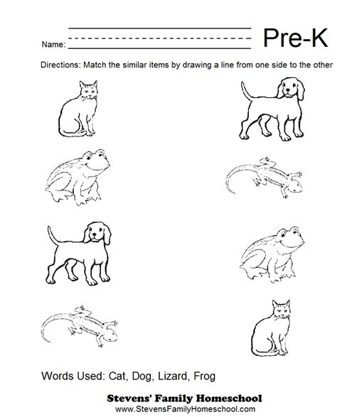 This packet is full of worksheet printables for preschool learners. 16 Best Images of Pre-K Math Homework Worksheets - Pre-K Math Worksheets Printable, Pre-K ...