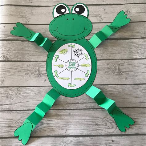 Life Cycle Of A Frog Craft Mrs Mcginnis Little Zizzers