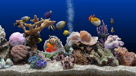 Marine Aquarium Uhd Screensaver Blue Ocean 60fps Youtube