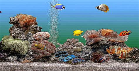 Free Animated Screensavers For Windows 10 Aquarium Screensavers 3d