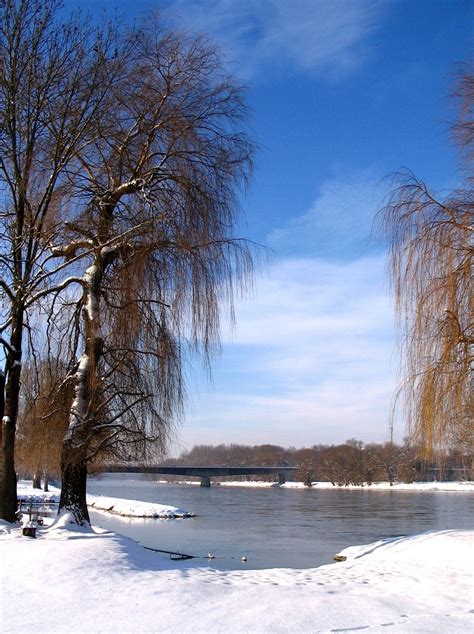 картинки пейзаж дерево воды природа снег зима небо мост