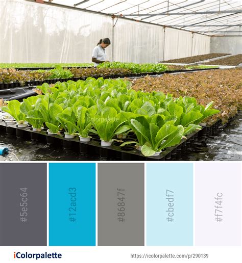 9 Greenhouse Color Palette Ideas In 2023 Icolorpalette