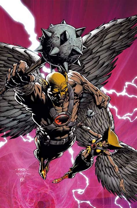 Hawkman And Hawkgirl By David Finch Comics Hawkgirl Dc Comics Artwork