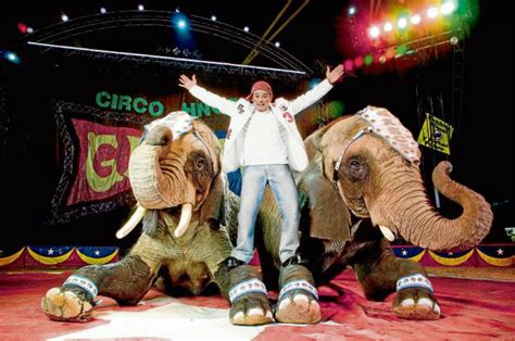 Circo Hermanos Gasca Transmitirá Función Por Facebook ¡después No Diga