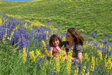Caucasian Mother And Daughter Sitting On Hillside With Wildflowers