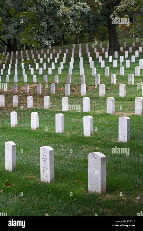 Rows Of Tombstones At Arlington National Cemetery Arlington County