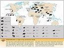 The origin of crops and domestic animals - Vivid Maps