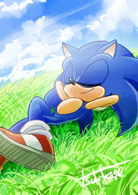 Pin By Go Kimj974 On Sth Sonic Fan Characters Sonic The Hedgehog