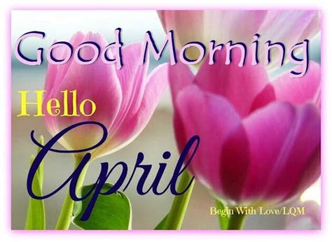 Good Morning Hello April Quote Pictures Photos And Images For