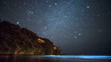 Phosphorescence In The Sea At Night