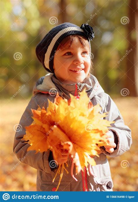 Adorable Little Girl Outdoors At Beautiful Autumn Day Stock Photo