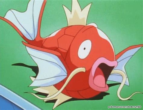 The Most Amusing Pokemon 30 Post Challenge 8 Pokémon Amino