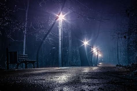 Hd Wallpaper Street With Lamps During Nighttime Dark Park The Park