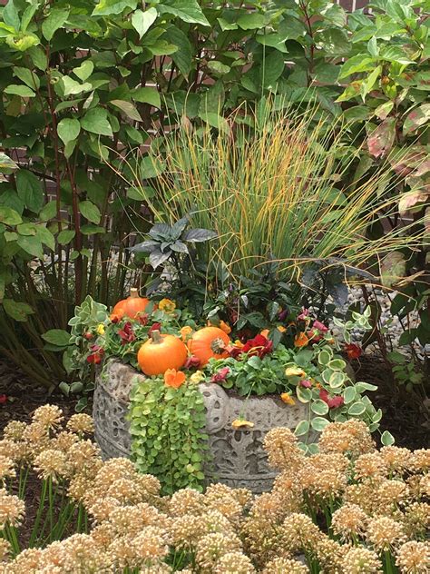 Fall Containers Feature Spotts Garden Service