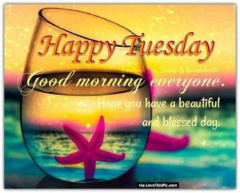the 25 best happy tuesday quotes ideas on pinterest tuesday happy tuesday morning and happy