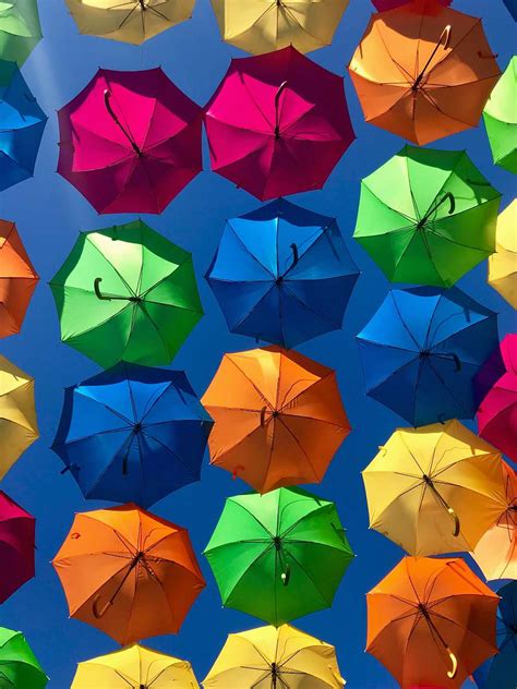 Canopy Assorted Colored Umbrellas Color Image Free Photo