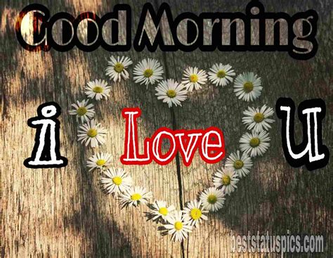 The Ultimate Collection Of Full 4k Good Morning I Love You Images Over 999 Amazing Options