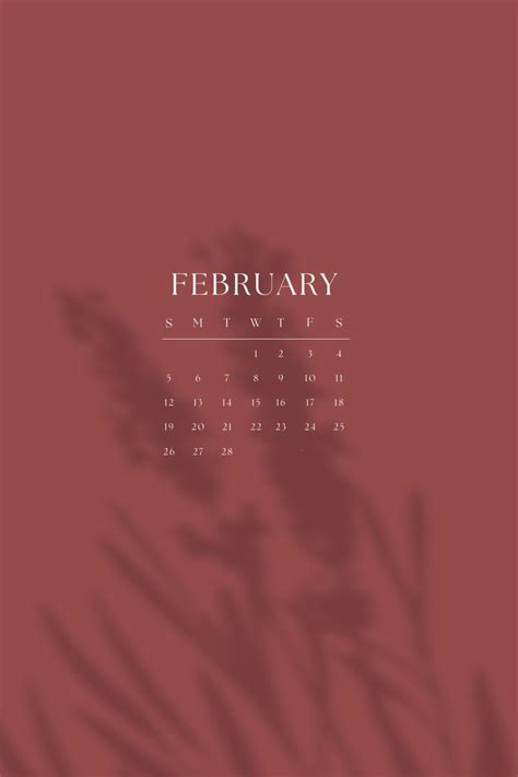 February Calendar 2023 February Calendar Calendar Background Study